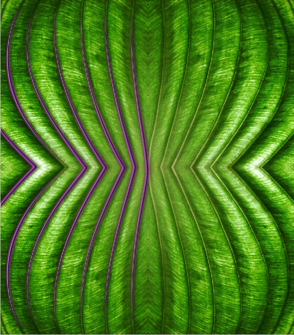 Creation of Green Shape: Step 3
